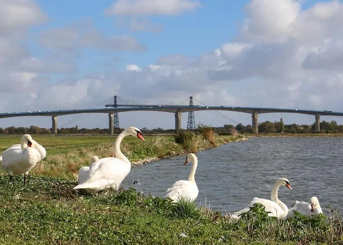 Apartamento Côté Cour - En Plein Centre-ville&proche Des Thermes *